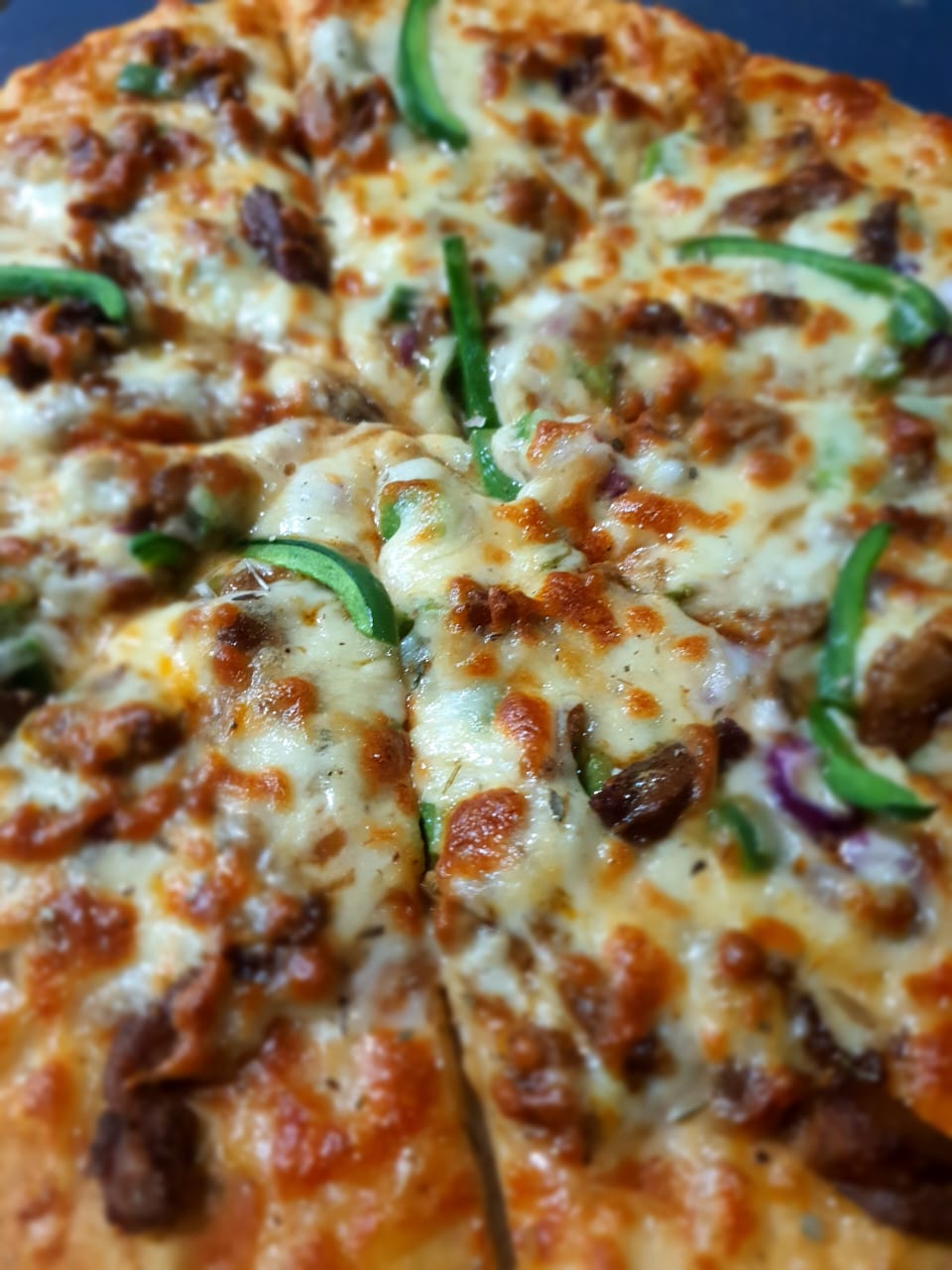 WhatsApp Image 2026-02-15 at 13.17.15 (1)